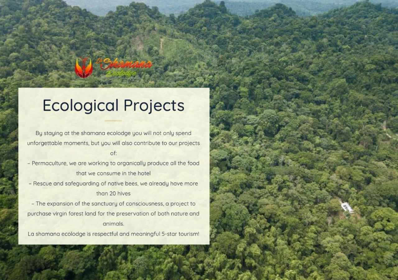 La Shamana - Ecological Concept In Jungle Villa Cahuita Ngoại thất bức ảnh