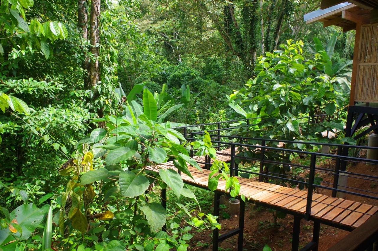 La Shamana - Ecological Concept In Jungle Villa Cahuita Ngoại thất bức ảnh