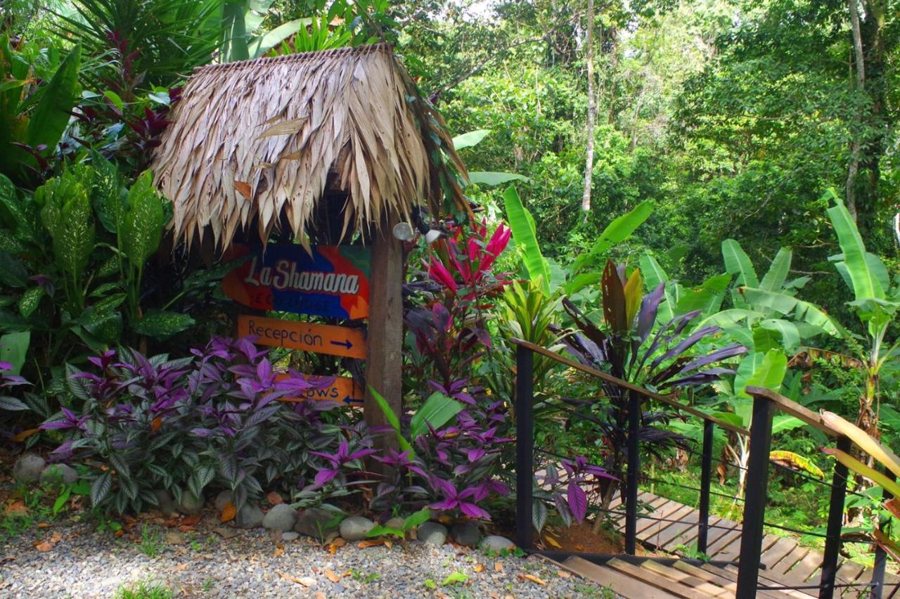 La Shamana - Ecological Concept In Jungle Villa Cahuita Ngoại thất bức ảnh