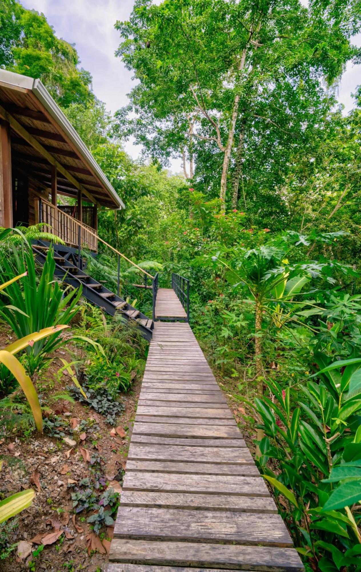 La Shamana - Ecological Concept In Jungle Villa Cahuita Ngoại thất bức ảnh