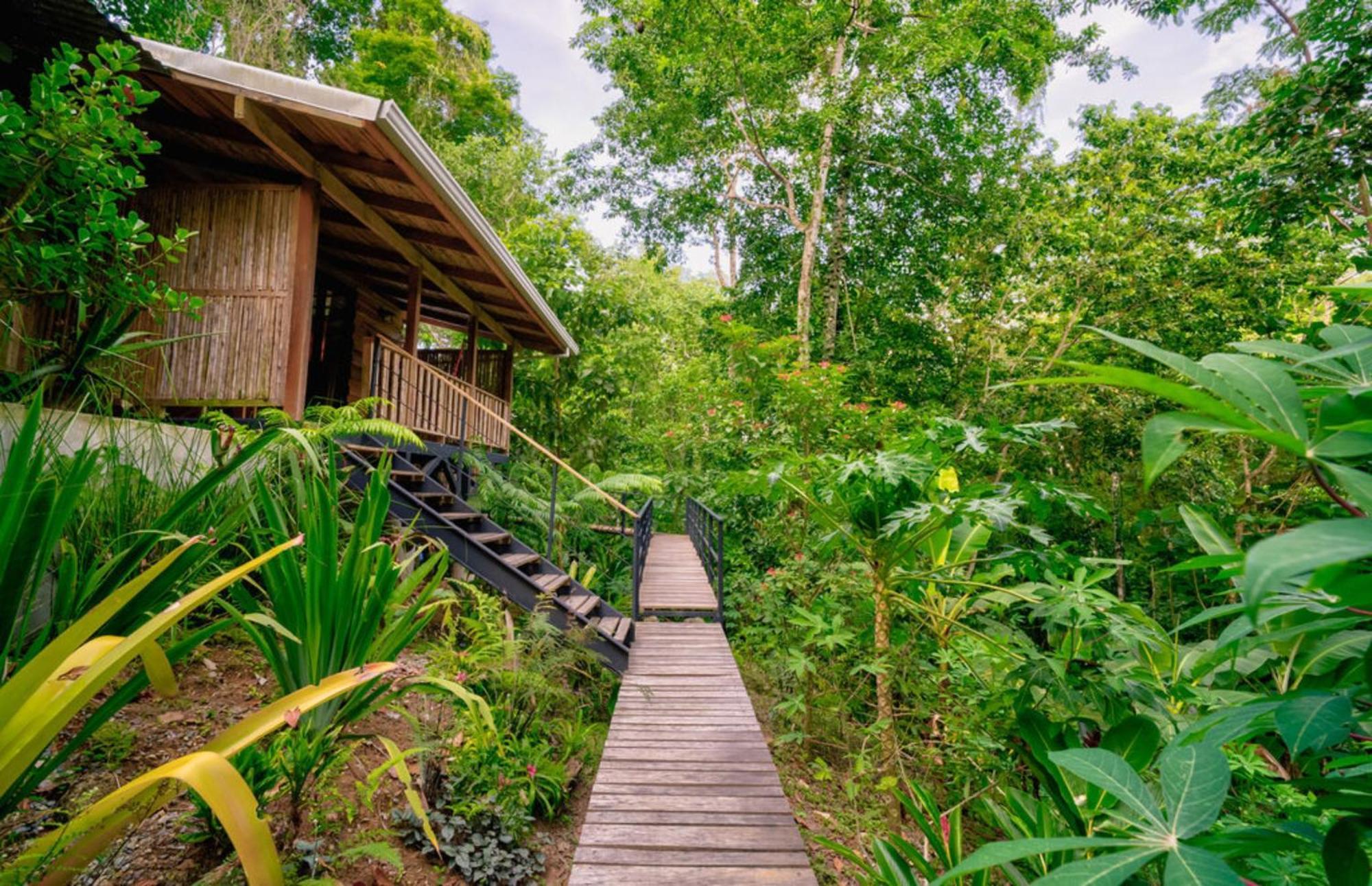 La Shamana - Ecological Concept In Jungle Villa Cahuita Phòng bức ảnh