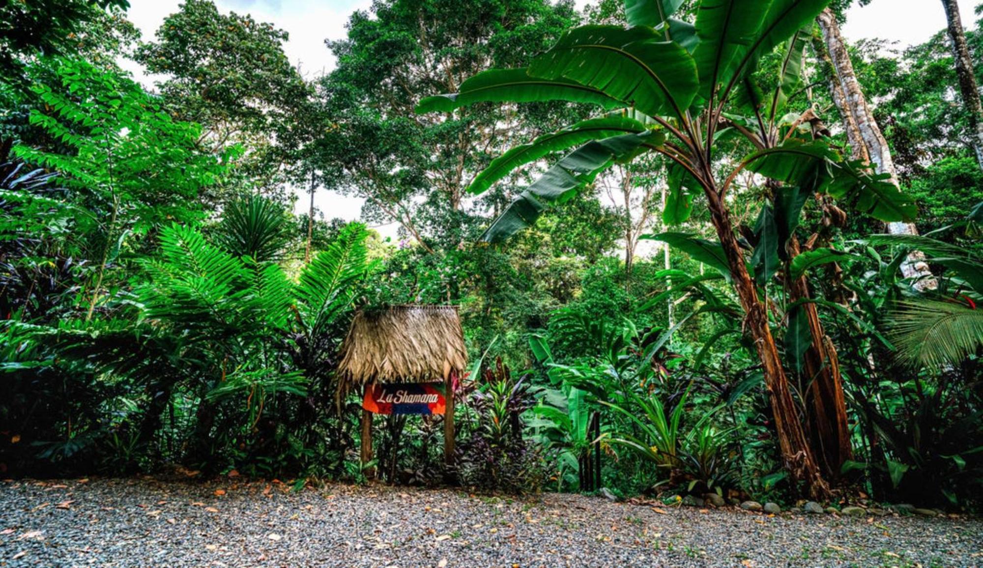 La Shamana - Ecological Concept In Jungle Villa Cahuita Ngoại thất bức ảnh