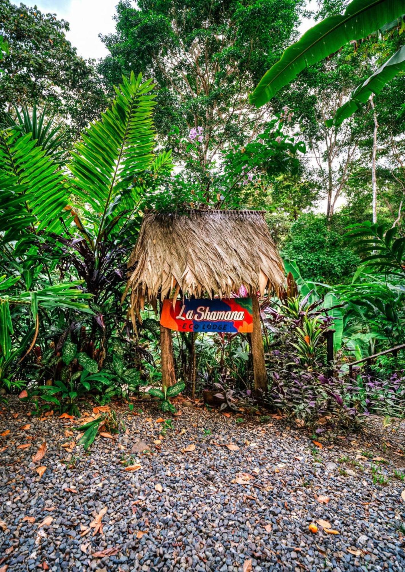 La Shamana - Ecological Concept In Jungle Villa Cahuita Ngoại thất bức ảnh