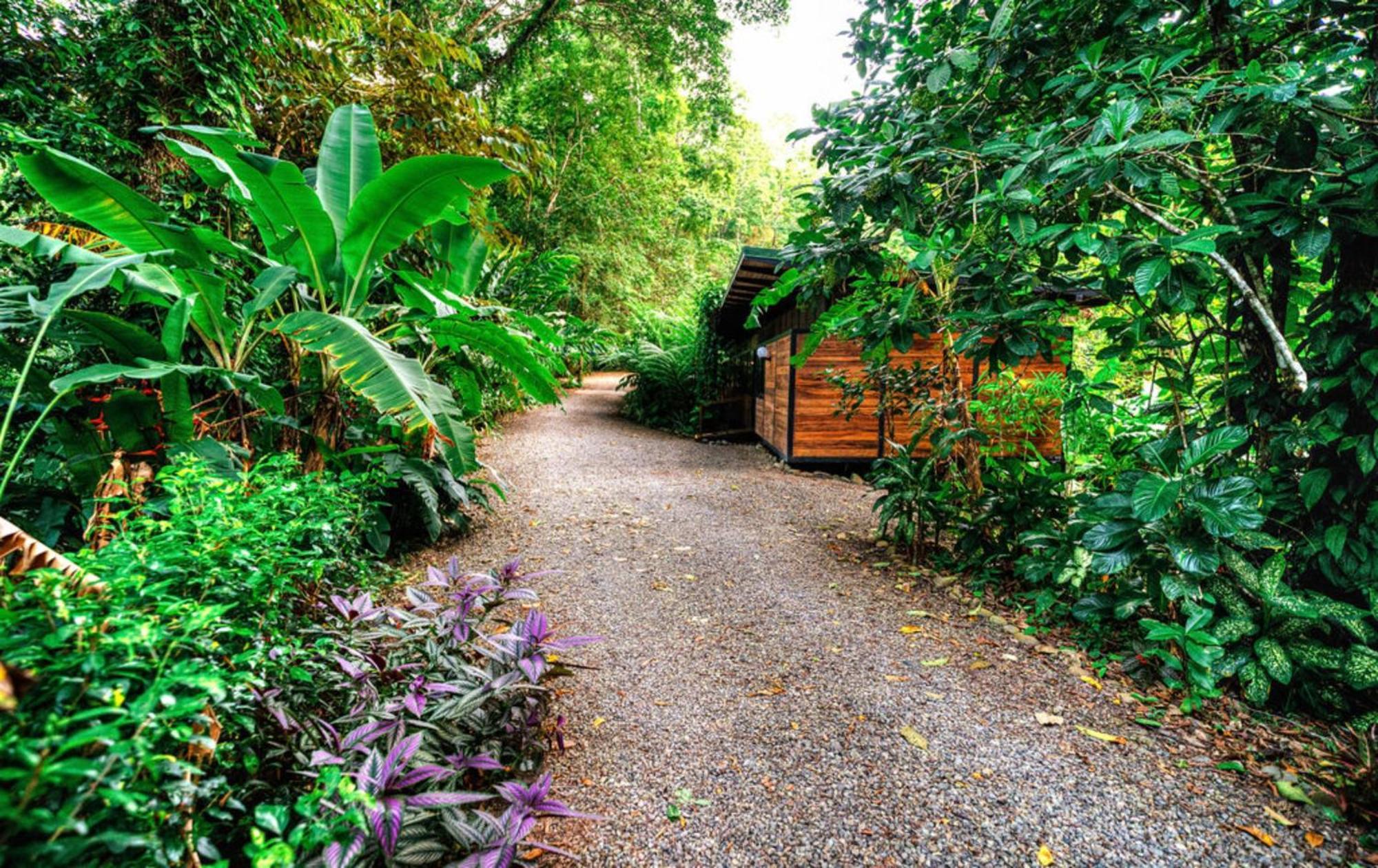 La Shamana - Ecological Concept In Jungle Villa Cahuita Ngoại thất bức ảnh
