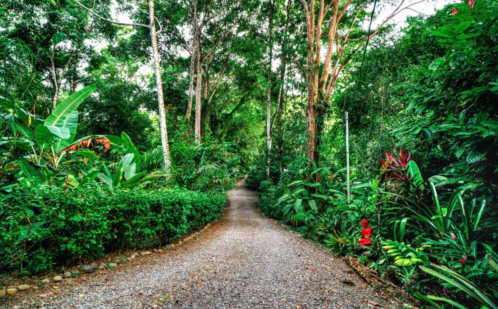 La Shamana - Ecological Concept In Jungle Villa Cahuita Ngoại thất bức ảnh
