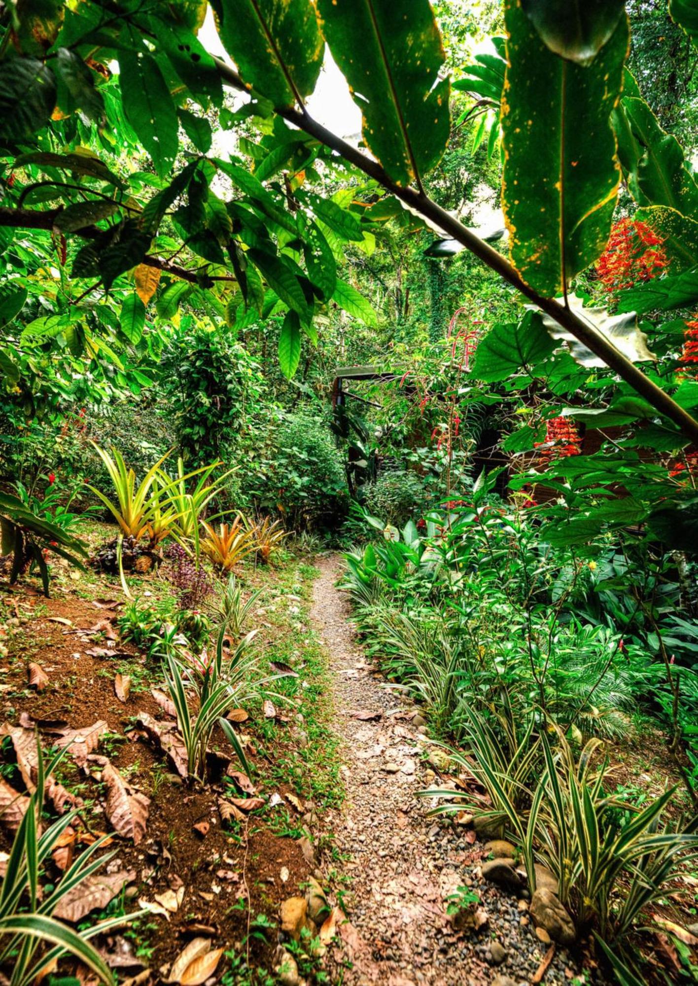 La Shamana - Ecological Concept In Jungle Villa Cahuita Ngoại thất bức ảnh
