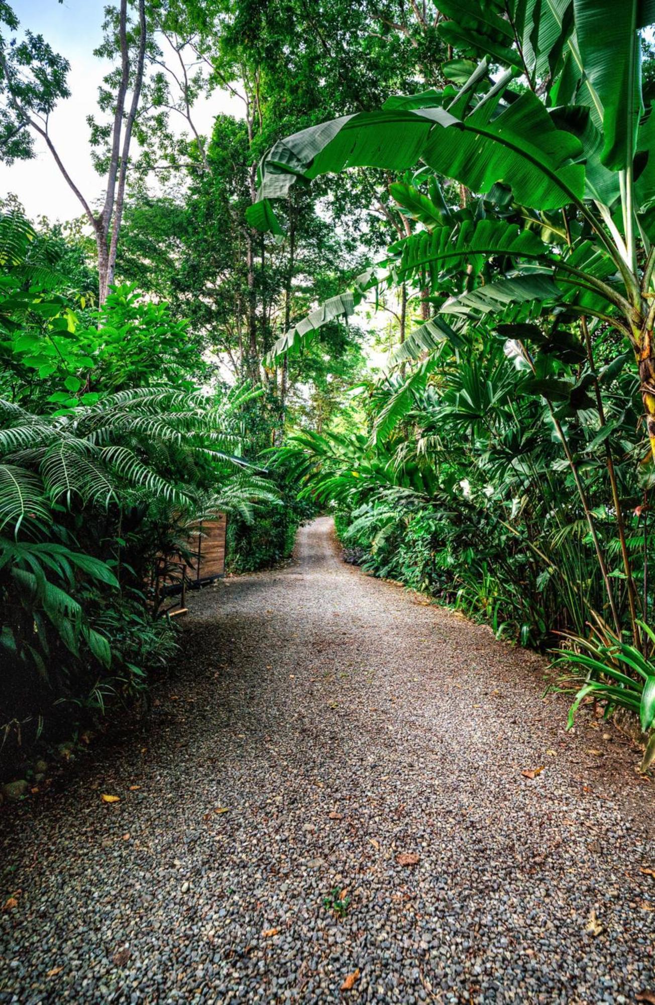 La Shamana - Ecological Concept In Jungle Villa Cahuita Ngoại thất bức ảnh