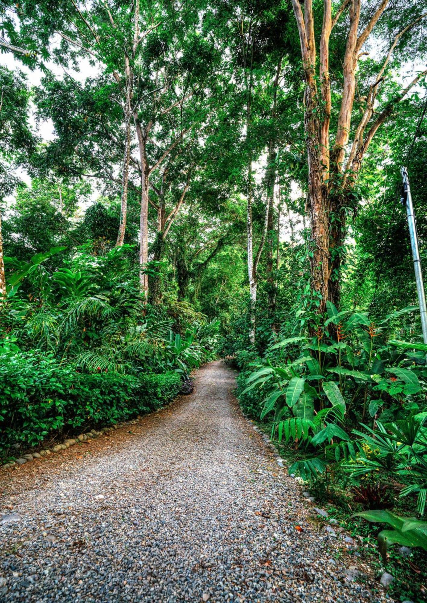 La Shamana - Ecological Concept In Jungle Villa Cahuita Ngoại thất bức ảnh