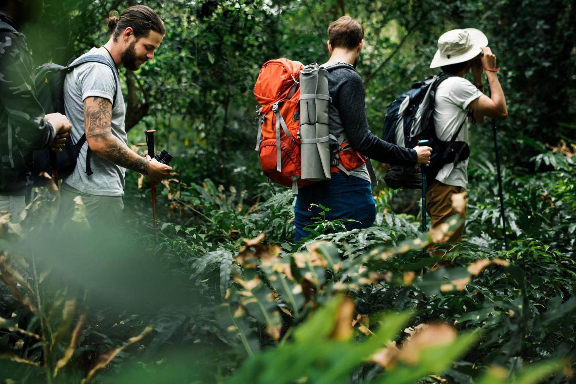 La Shamana - Ecological Concept In Jungle Villa Cahuita Ngoại thất bức ảnh